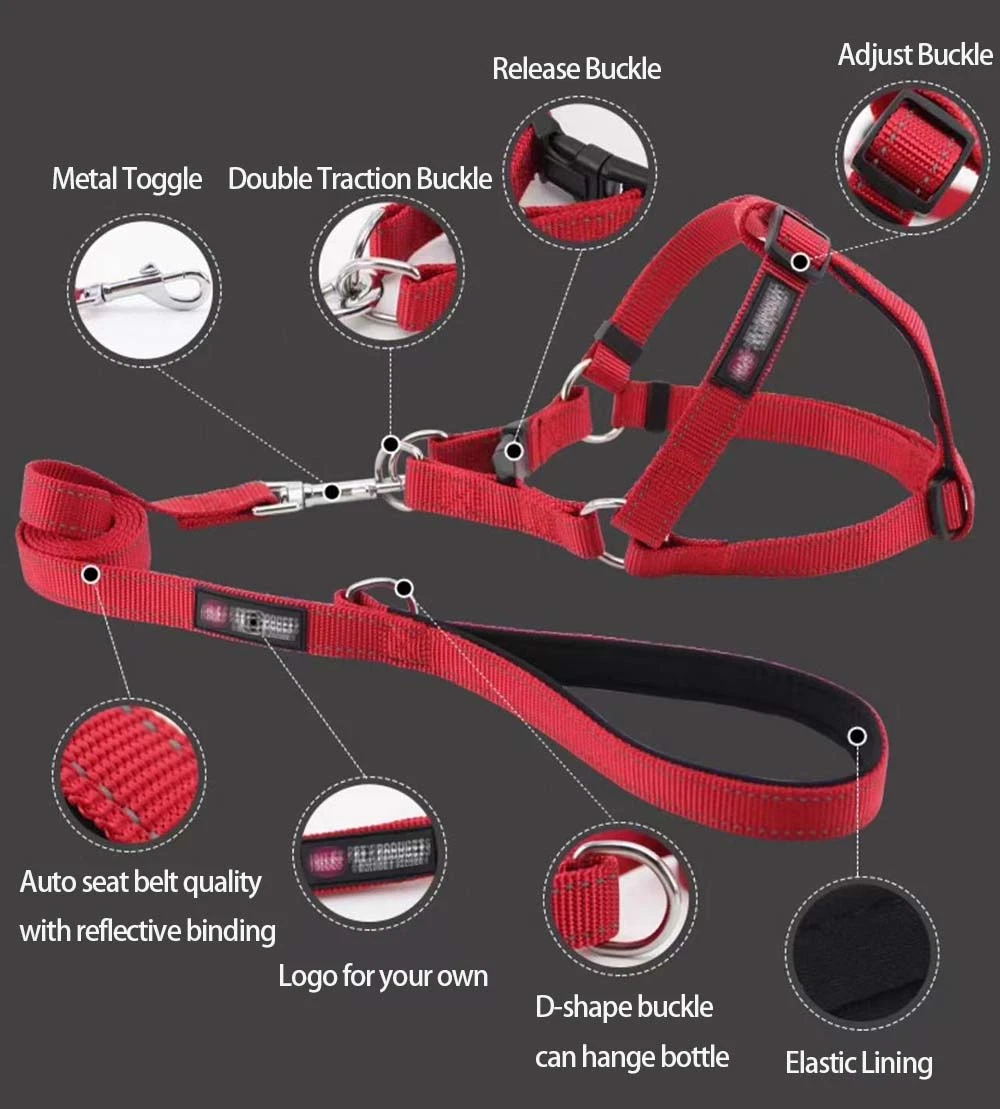 Pet Walking Kit Dog Adjustable Pet Collar Leash Set Chest Strap Teddy Chain Dog Leash