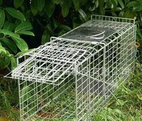 Metal Wire Mesh Rat Trap Cage