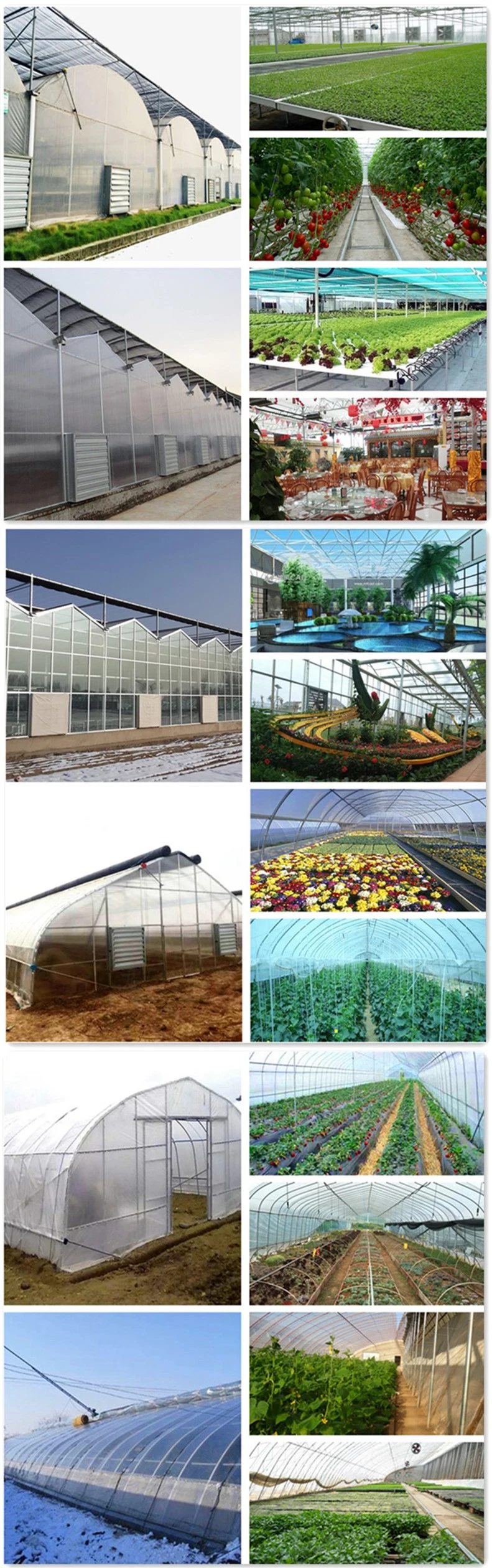 Venlo Tempered Glass Greenhouse with Hydroponics Growing System for Vegetables/ Flowers/ Tomato/