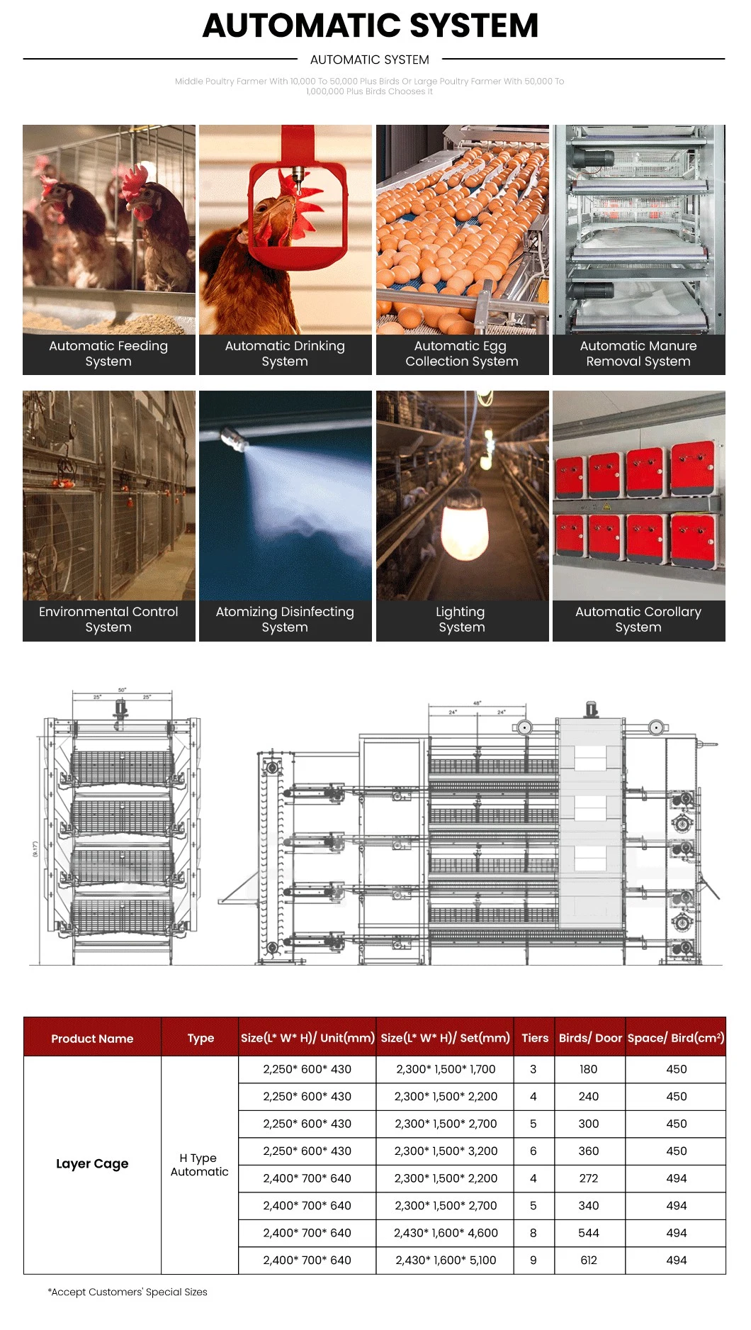 Bestchickencage H Type Layer Cage China Indoor Chicken Layer Cage Manufacturer ODM Custom Mature Galvanizing Process Low Price Poultry Chicken Layer Cage