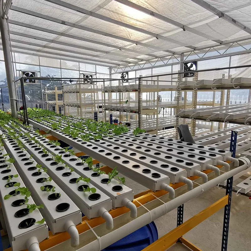Agricultural Hydroponic Growing Systems PVC Channel Hydroponic Nft for Lettuce Indoor/Greenhouse Growing System