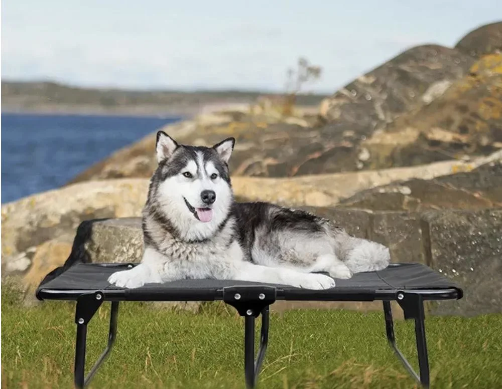 Portable Waterproof Outdoor Stainless Steel Pet Hammock Raised Elevated Dog Bed Pet Camping Bed