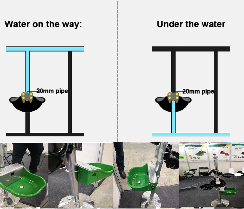 Brushed Surface Treatment Stainless Steel Large Water Flow Drinking Waterer for Horse Stable Supplier