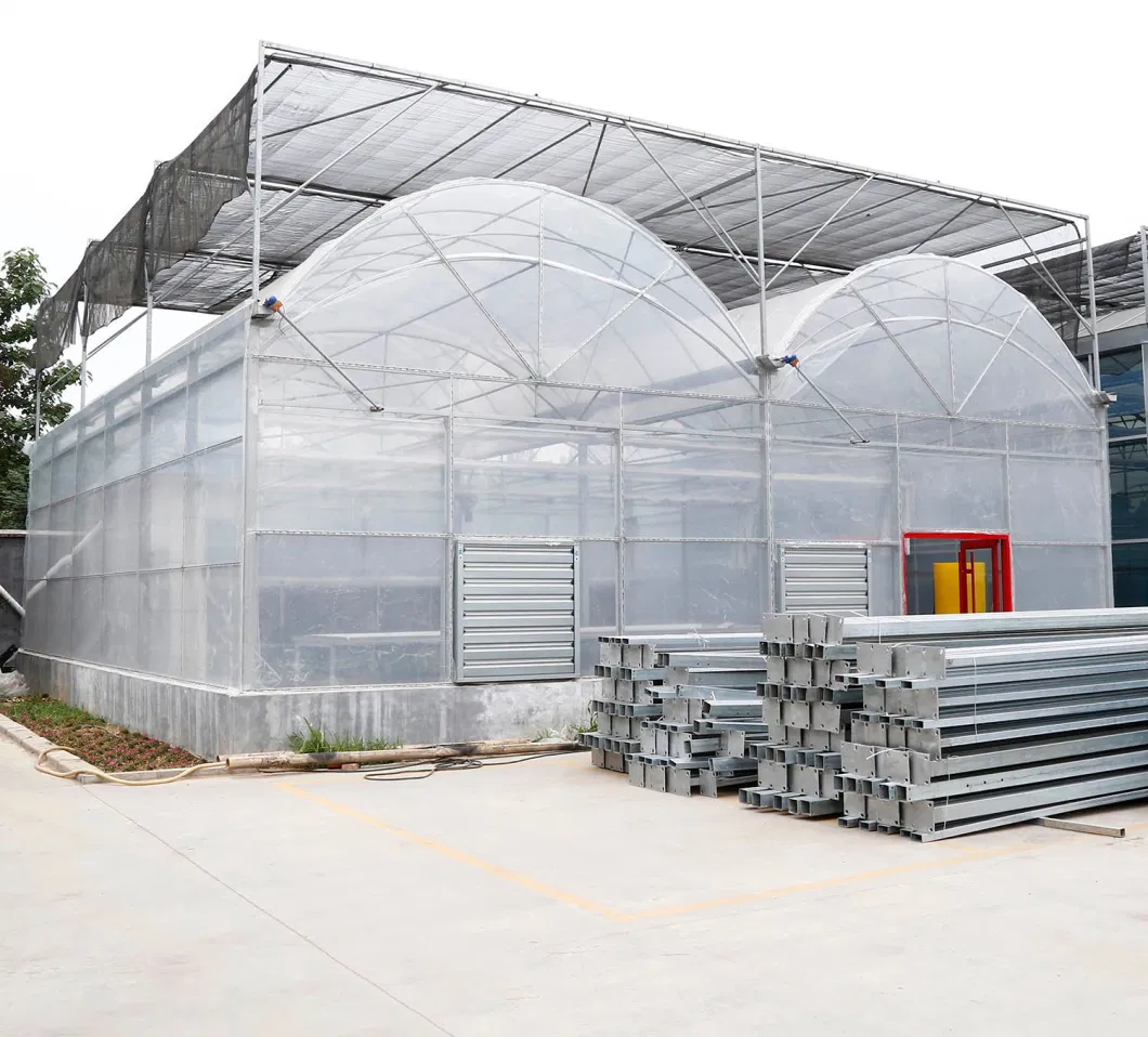 Multi-Span Plastic Pop up Greenhouse for Tomato