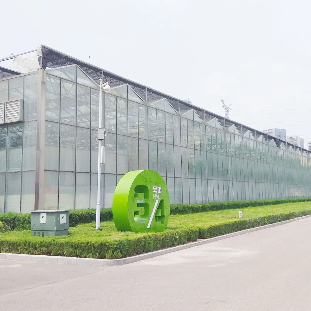 Venlo Glass Greenhouse with Tomato Hydroponics Growing System Indoor