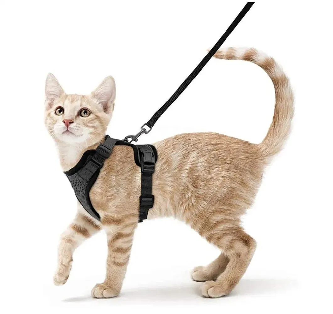 Custom Adjustable Cat Harness Set Breathe Freely Reflective Cat Vest and Leash