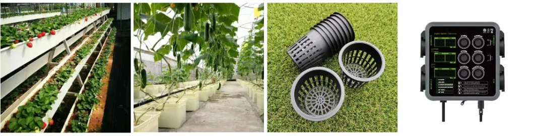 Hydroponic Cultivation Hydroponics PVC Nft Channel Gutter System for Growing Strawberry Greenhouse