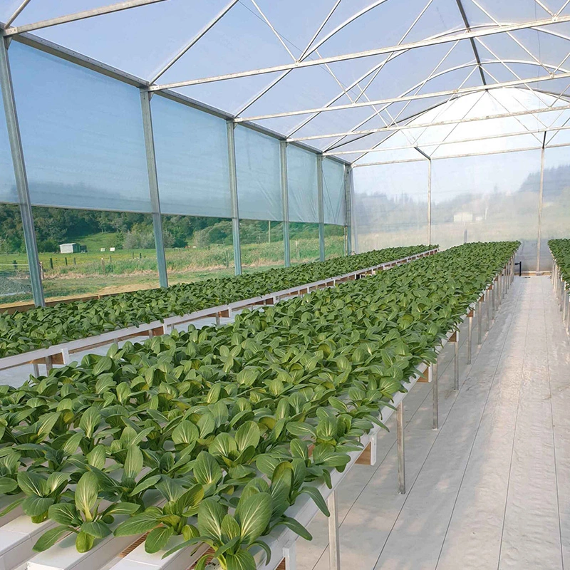 Agricultural Hydroponic Growing Systems PVC Channel Hydroponic Nft for Lettuce Indoor/Greenhouse Growing System