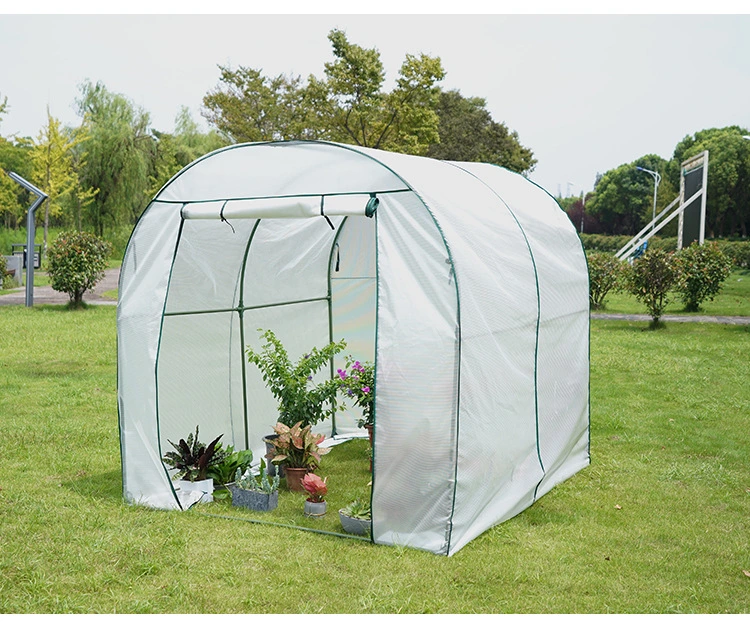 Agriculture Productive Small Plastic Indoor Greenhouse Garden with Hydroponic Equipment System