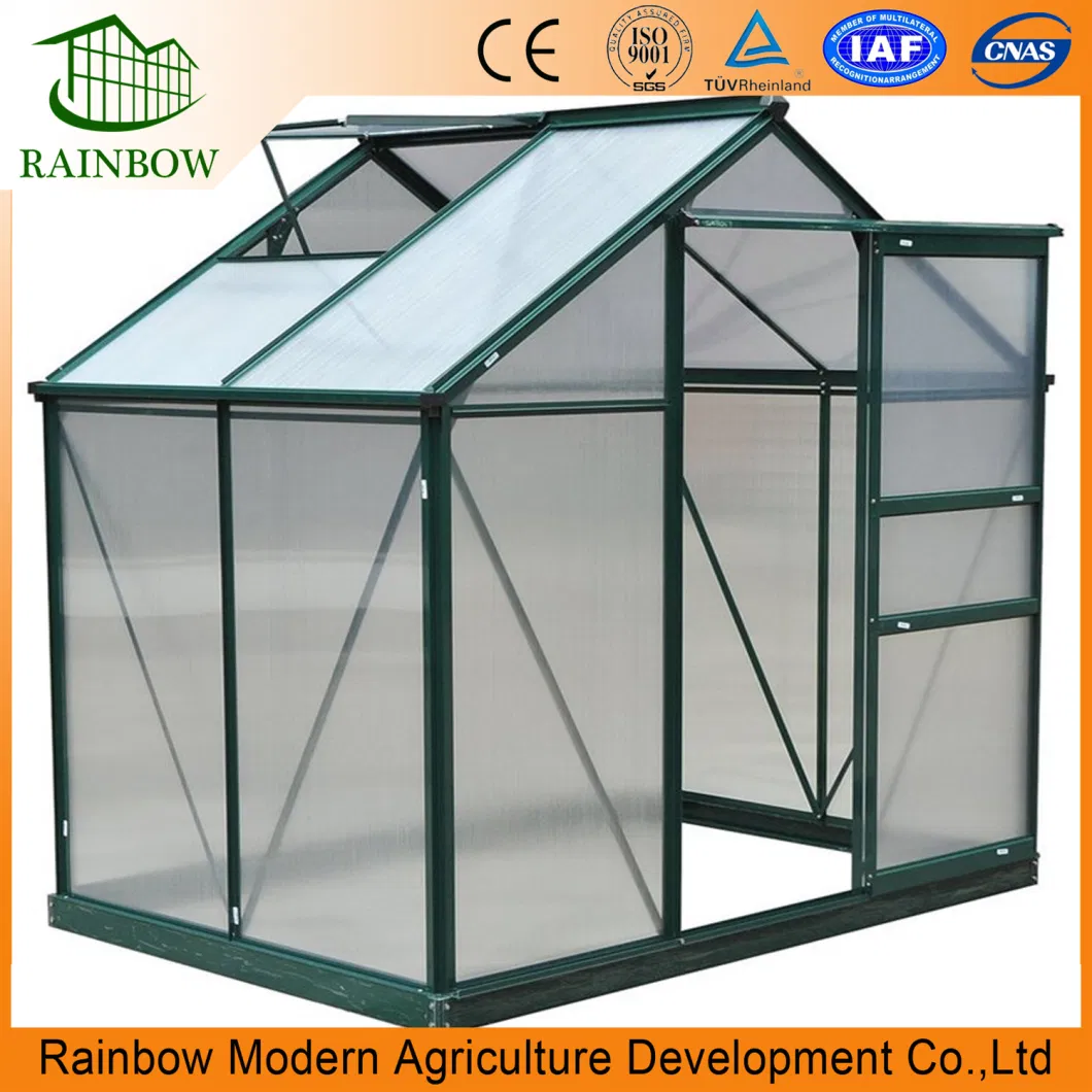 Mini Polycarbonate Greenhouse for Flower in The Yard