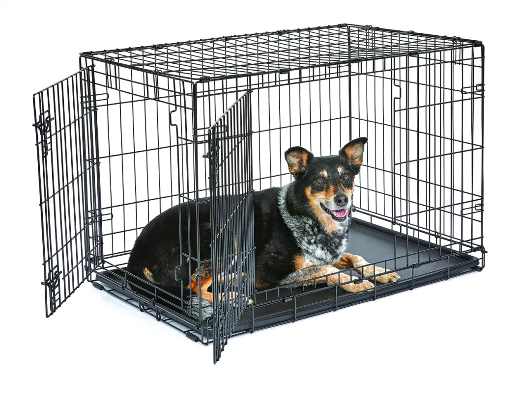 Multiple Sizes Double Door Foldable Metal Wire Cat Dog Crate Pet Cage