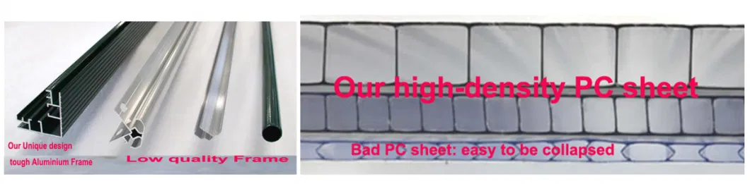 Sturdy Aluminum Framing Polycarbonate Sheet Hobby Greenhouse for Yard Rdga0602 -6mm