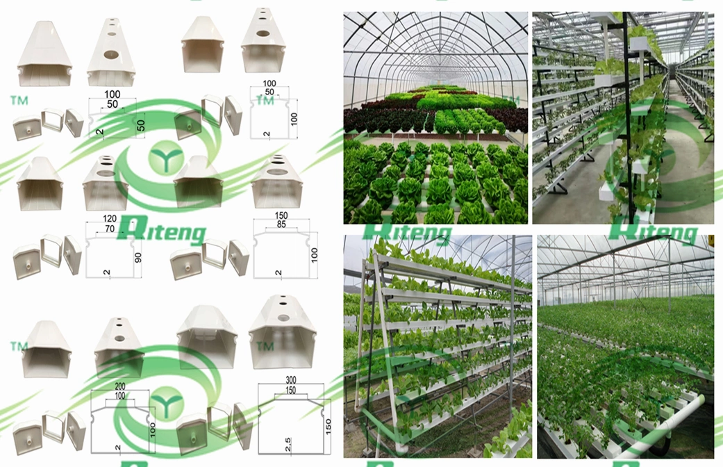 PVC Growing Gutter in Greenhouse/Hydroponic Lettuce Gutter Systems