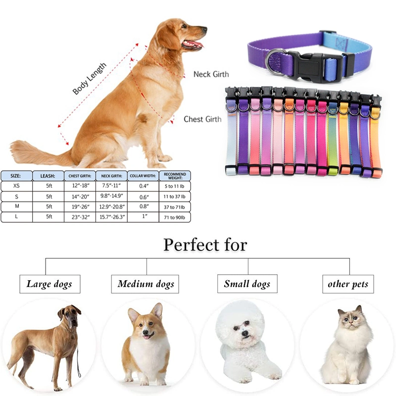 Factory Wholesale Labrador Chow Chow Samoyed Security Lock Dog Leash and Harness