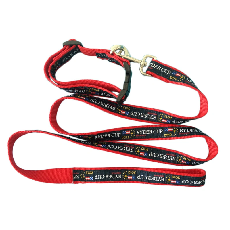 Custom Factory Manufacture Nylon Plastic Breakaway Buckle Pet Collar Leash Heavy Duty Running Large Dog Leash