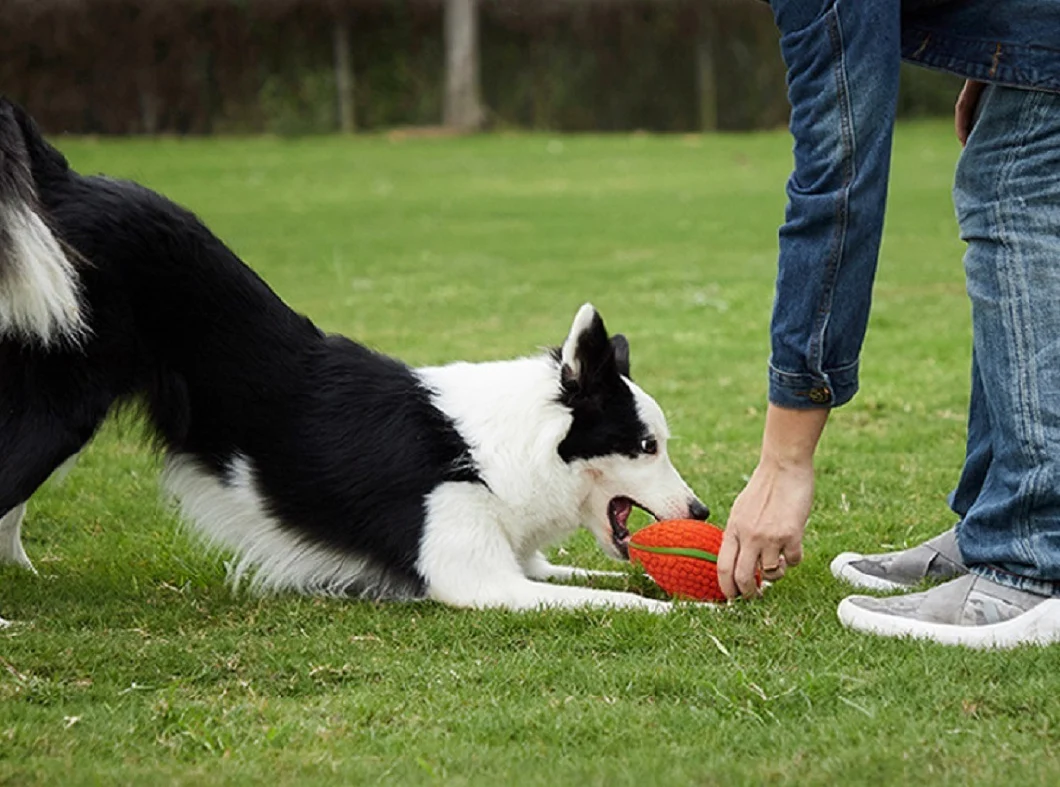 Squeaky Football Branch, Fetch and Play - Latex Rubber Dog Toy Balls, Play Chew Fetch Interactive Ball Puppies Esg16602