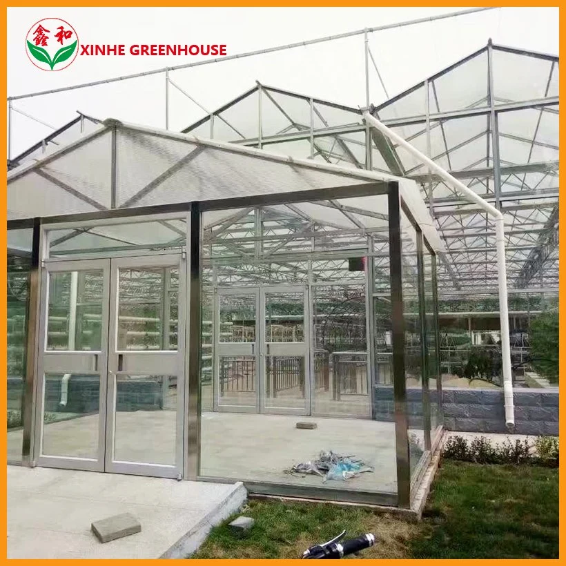 Green House for Raising Plants Flowers Made of Glass PVC