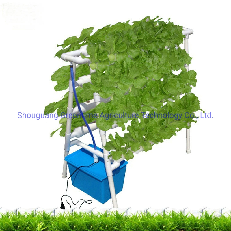 Hydroponic Horticulture Garden Indoor Plant Growth for Clients