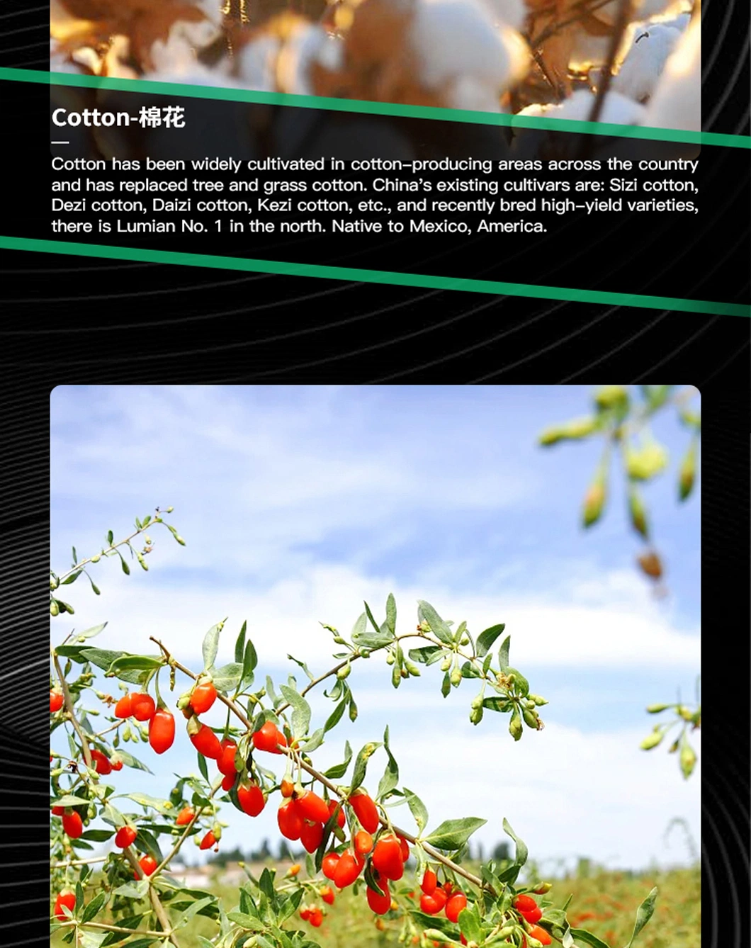 Self-Propelled Cotton Hydraulic High Clearance Power Pesticide Field Spray Agricultural Sprayer