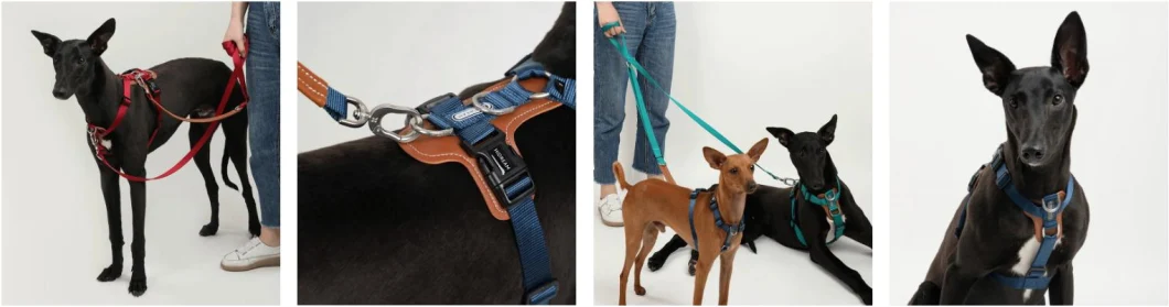 Integrated Rope Anti Dashing Wear Resistant Dog Lead Leash with Adjustable Buckle