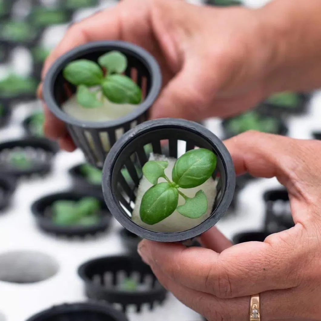 Nft Channel Hydroponic Growing System for Greenhouse