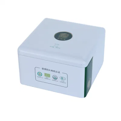 Customized Small Rectangular Hinged Metal Box Coffee Candy Sweets Gum Mints Tin with Hinge