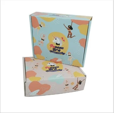 Color Clothing Cookies Macaron Folding Paper Packing Corrugated Carton Clothes Lingerie Cosmetic Courier Extra Hard Gift Tin Packaging Shipping Box Printing