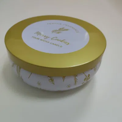 Small Tripe Pot Spice Coin Bank Food Tea Coffee Metal Tin Box