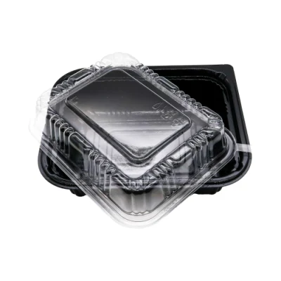 Food Grade Disposable Bento Lunch Box Eco-Friendly Takeaway Food Packaging