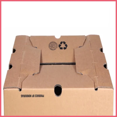 Custom Printed Corrugated Cardboard Paper Pineapple Tomato Cucumber Corn Broccoli Durian Banana Fresh Vegetable Fruit Packing Packaging Shipping Carton Box