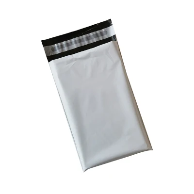 Biodegradable Compostable Express Mailer New Year Offer Bag with as 4736 Certified