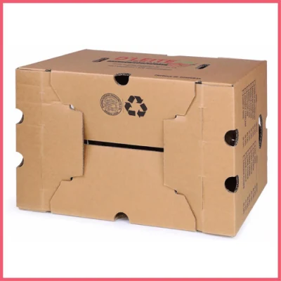 Custom Printed Corrugated Cardboard Paper Pineapple Tomato Cucumber Corn Broccoli Durian Banana Fresh Vegetable Fruit Packing Packaging Shipping Carton Box