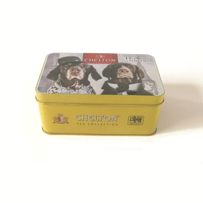 Wholesale Factory Custom Embossed Hinged Rectangular Herb Seeds Packaging Metal Tea Tins