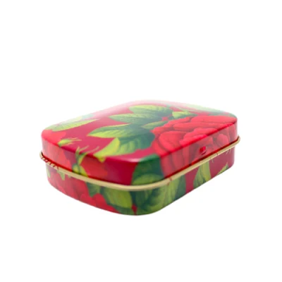 Factory Custom Tinplate Case Packaging Rectangle Metal Can Pill Mini Tin Box with Hinged Lid
