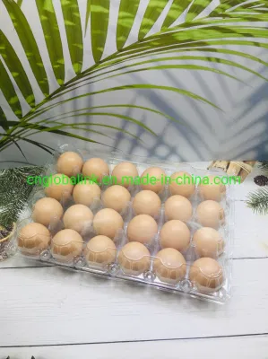 Plastic Chicken Egg Box Quail Egg Packing Tray 12/15/30 Cells Plastic Packaging
