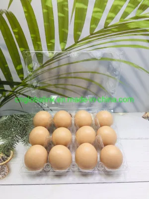 Plastic Chicken Egg Box Quail Egg Packing Tray 12/15/30 Cells Plastic Packaging