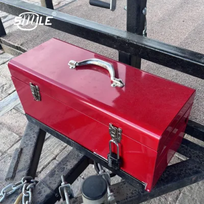 Smile Safe and Sturdy Equipment Metal Toolbox Hard Case with Small Tools