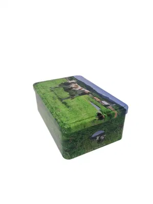 Hot Sale Factory Price Rectangle Metal Chocolate Tin for Christmas Gift Tin Boxes Packaging Cookies Tin Box Food Tin Packaging