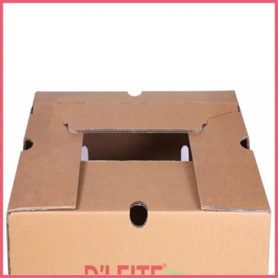 Custom Printed Corrugated Cardboard Paper Pineapple Tomato Cucumber Corn Broccoli Durian Banana Fresh Vegetable Fruit Packing Packaging Shipping Carton Box