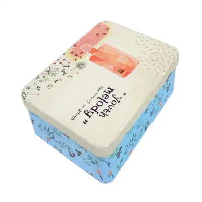 Fresh Creative Large Lock Storage Jewelry Gifts Metal Tin Box