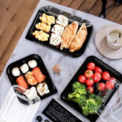 Food Grade Disposable Bento Lunch Box Eco-Friendly Takeaway Food Packaging
