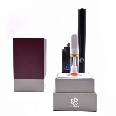 Custom Disposable Vape Pen Vape Battery and USB 1set Packaging Box