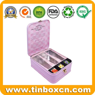 Rectangle Metal Box Cosmetics Tin with Plastic Inserts and Lock for Skincare
