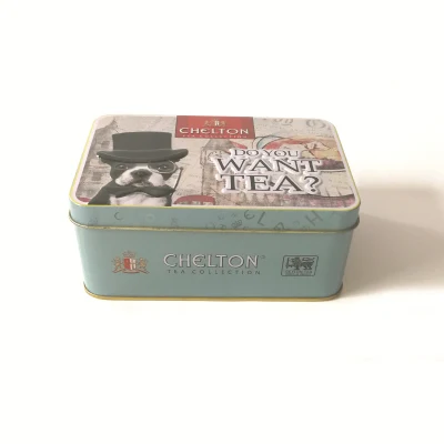 Wholesale Factory Custom Embossed Hinged Rectangular Herb Seeds Packaging Metal Tea Tins
