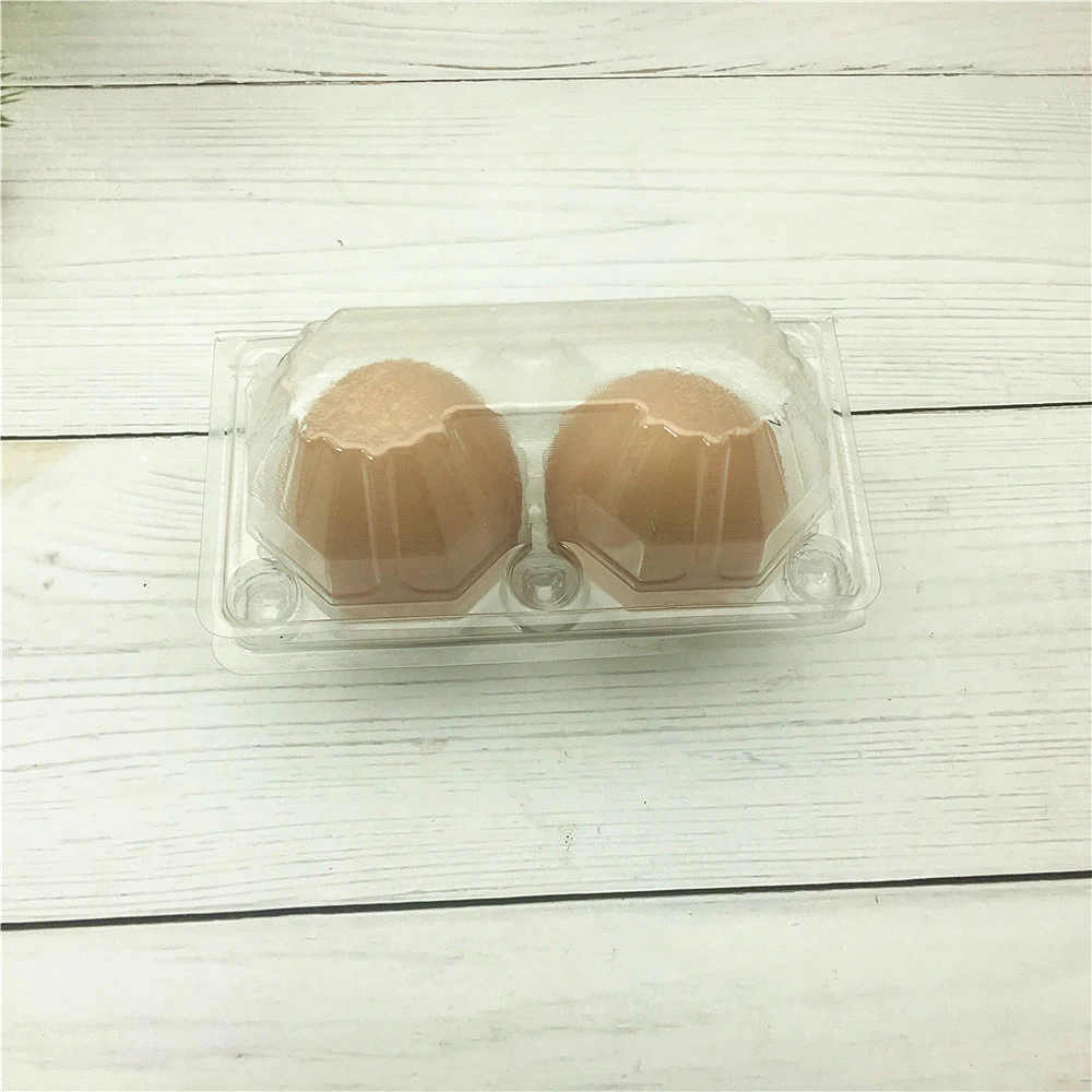 Plastic Chicken Egg Box Quail Egg Packing Tray 12/15/30 Cells Plastic Packaging