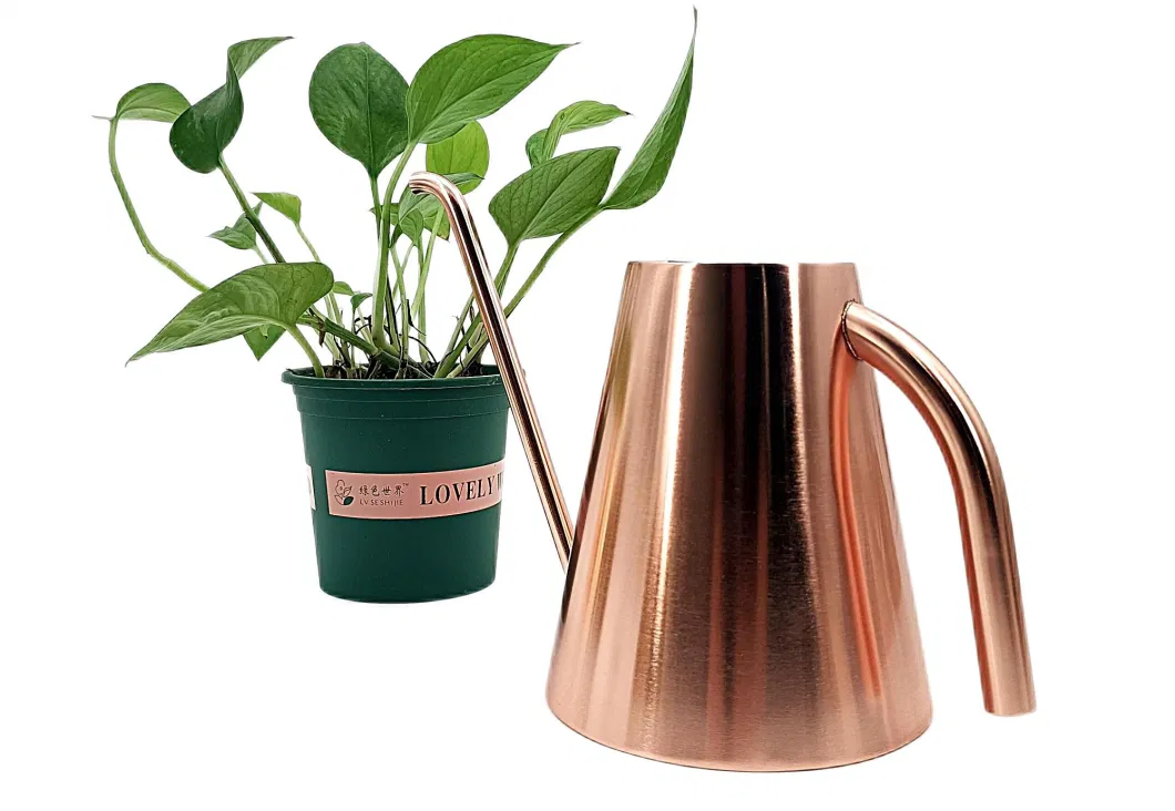 Decorative Rose Gold Plated Watering Can 1.3L with Long Spout for House Plant Garden Flower Metal Stainless Steel Watering Can