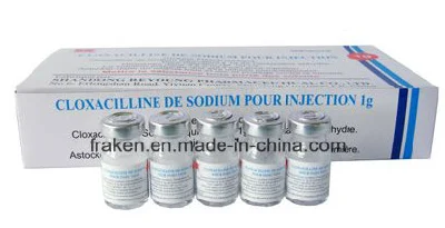 Cloxacillin sodico per preparazioni iniettabili certificato GMP