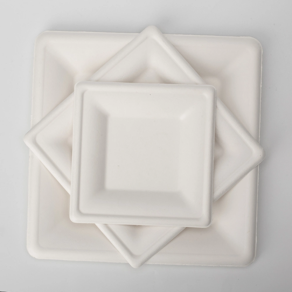 Biodegradable Disposable Food Paper Plates Food Grade Bagasse Packaging for Snack Bagasse Food Container Plate