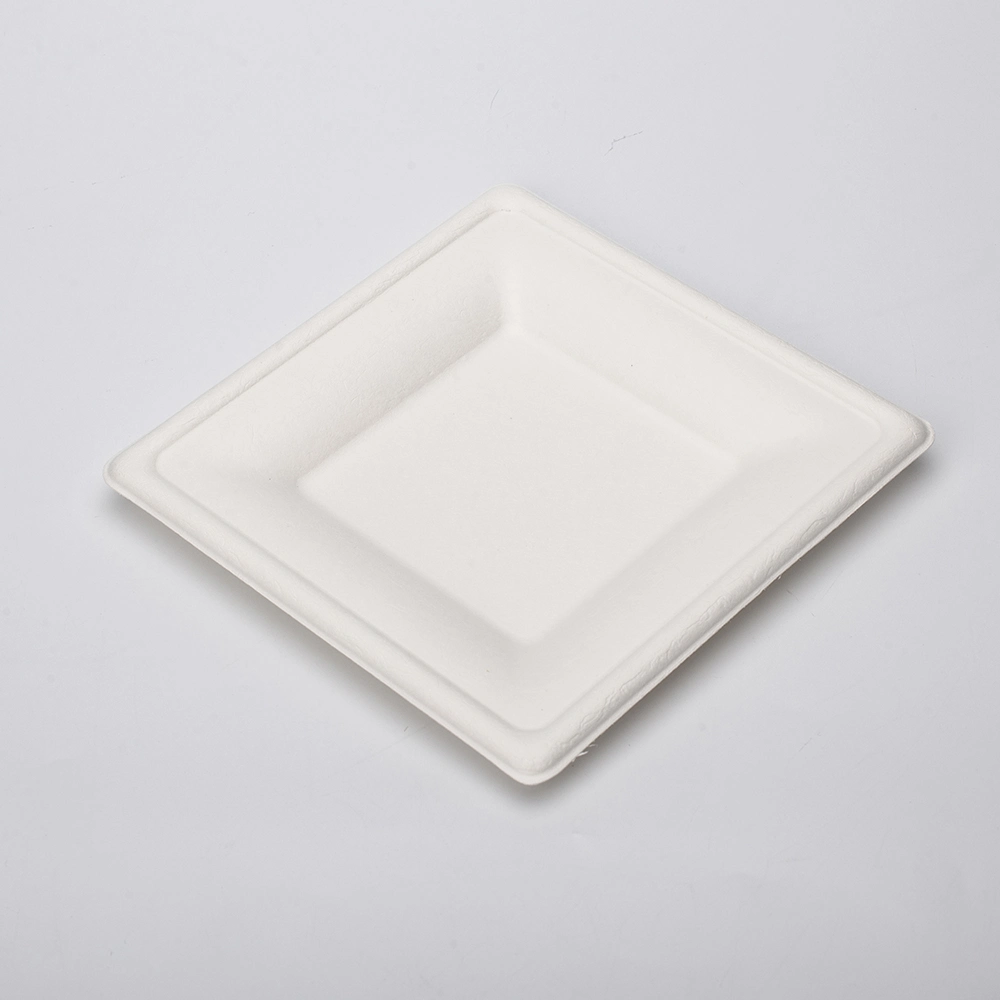 Biodegradable Disposable Food Paper Plates Food Grade Bagasse Packaging for Snack Bagasse Food Container Plate