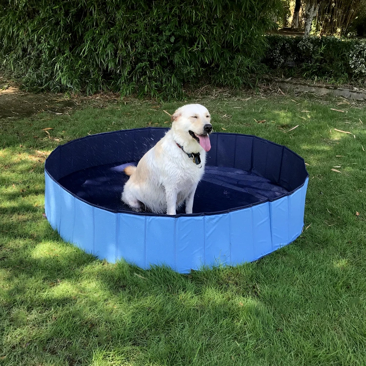 Small Foldable Swimming Paddling Pool for Pets - 80X20cm